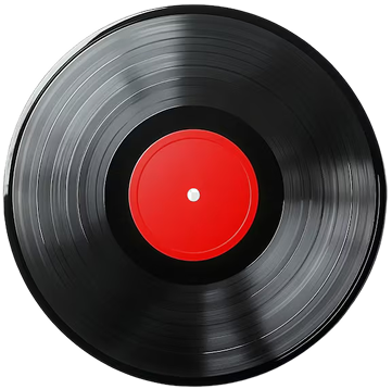 Vinyl record